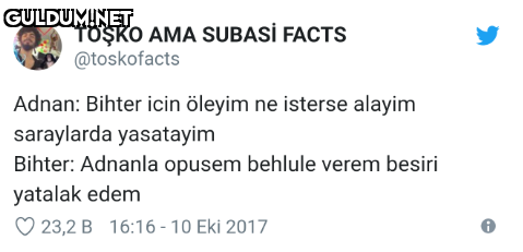 TOŞKO AMA SUBASİ FACTS...
