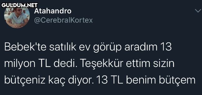 Atahandro @CerebralKortex...