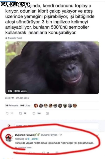 Popular post