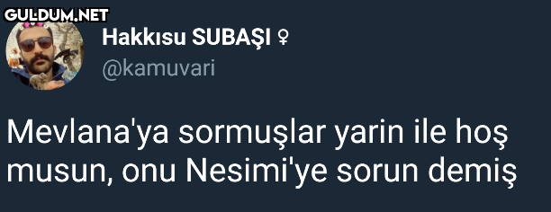 Mevlana'nın yarinle olan...