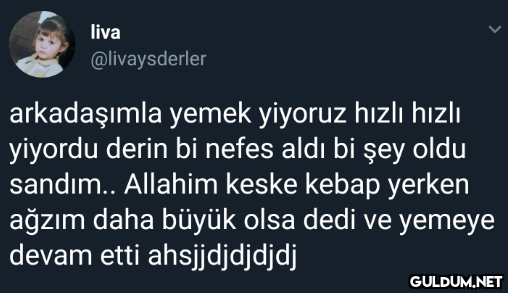 liva @livaysderler...