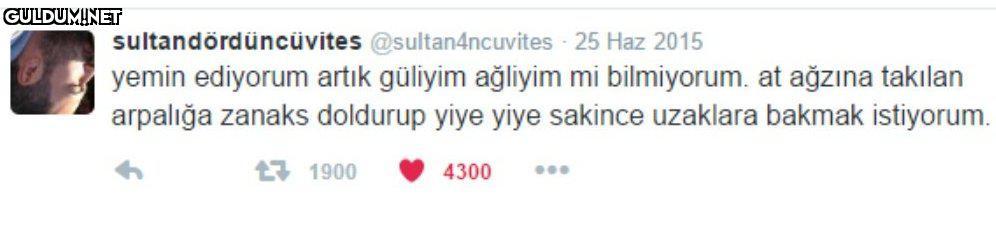 sultandördüncüvites...
