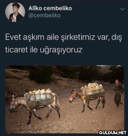 Alîko cembeliko @cembeliko...