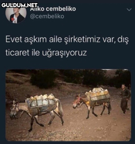 Alîko cembeliko @cembeliko...