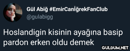 Gül Abiğ...