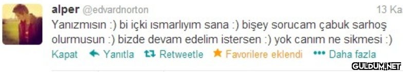 alper @edvardnorton...