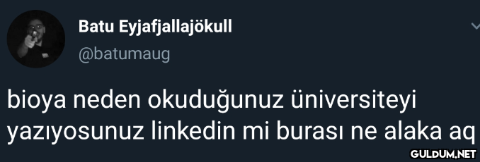 Batu Eyjafjallajökull...