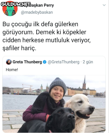Bay Başkan Perry...