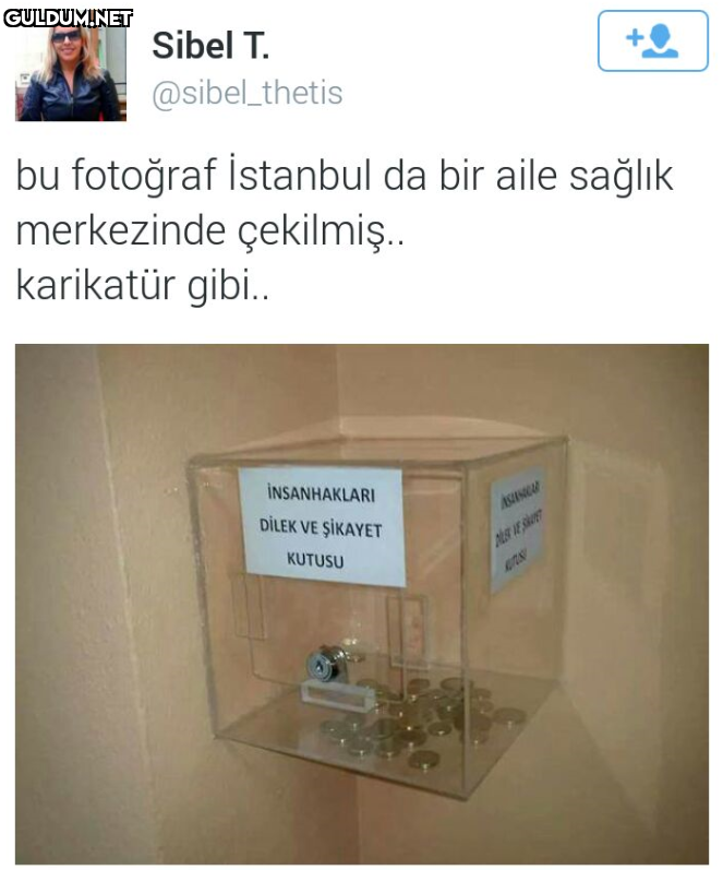 Sibel T. @sibel_thetis bu...