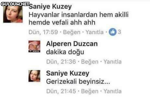 Saniye Kuzey Hayvanlar...