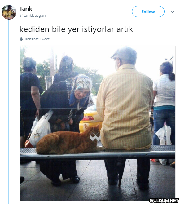 Tarık Follow @tarikbasgan...