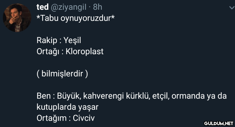 ted @ziyangil · 8h *Tabu...