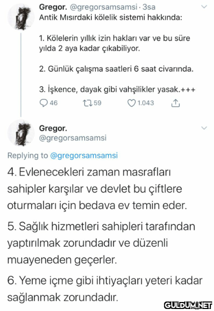 Gregor. @gregorsamsamsi -...