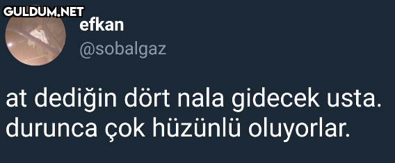 efkan @sobalgaz at dediğin...