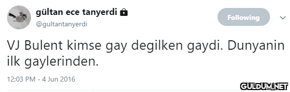 gültan ece tanyerdi ô...
