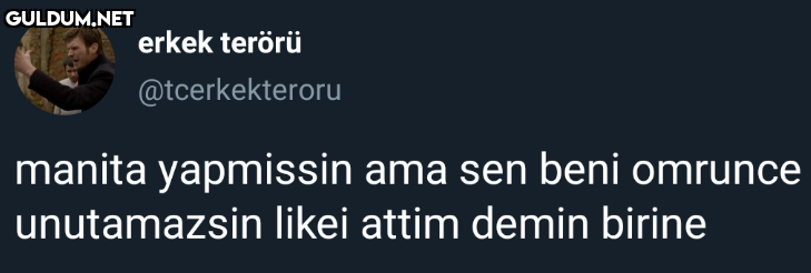 erkek terörü...