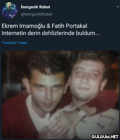 İnorganik Robot...