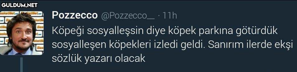 Pozzecco @Pozzecco_· 11h...