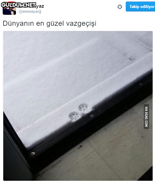 Dünyanın en güzel...