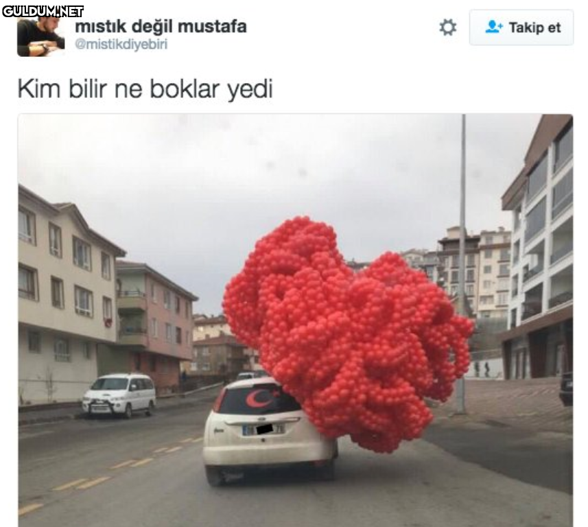 mıstık değil mustafa...