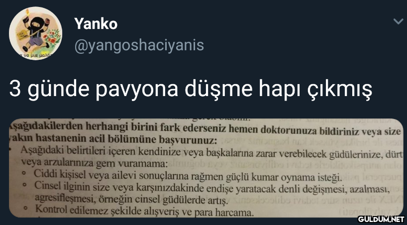 Yanko @yangoshaciyanis ψα...