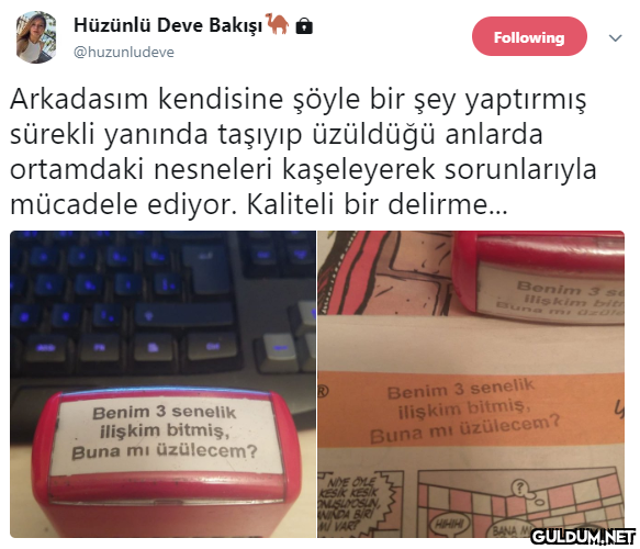 Hüzünlü Deve Bakışı...