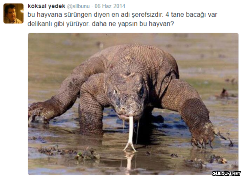 köksal yedek @silbunu - 06...
