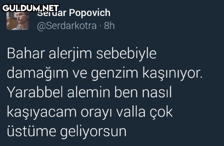 Serdar Popovich...