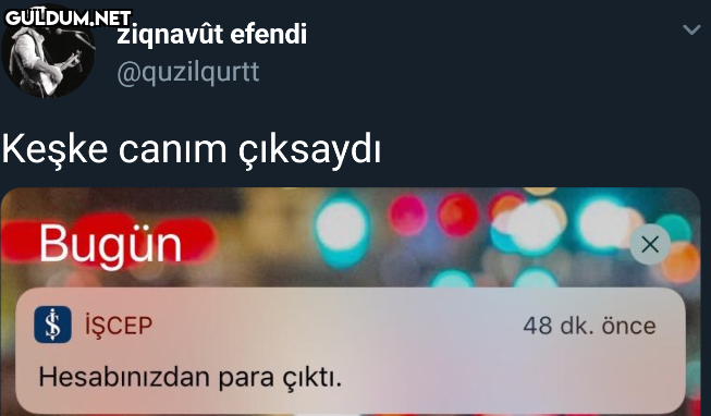 ziqnavût efendi...