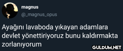 magnus @_magnus_opus...
