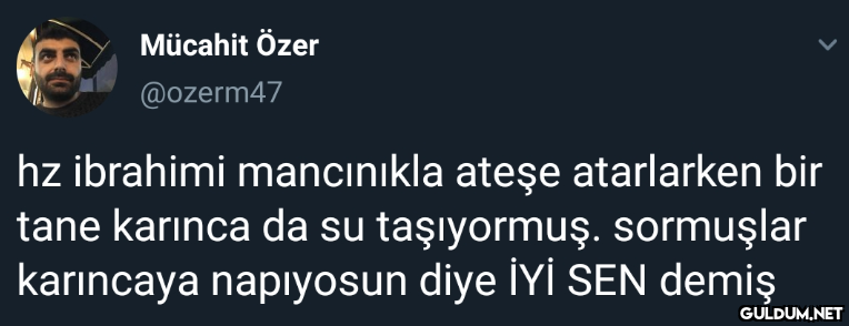 Mücahit Özer @ozerm47 hz...