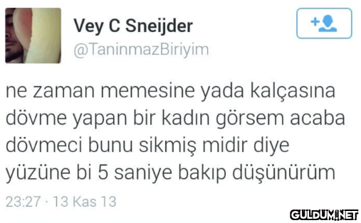 Vey C Sneijder...