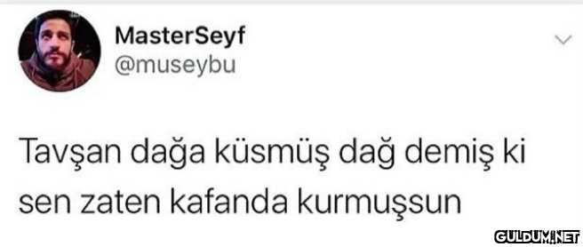 MasterSeyf @museybu Tavşan...