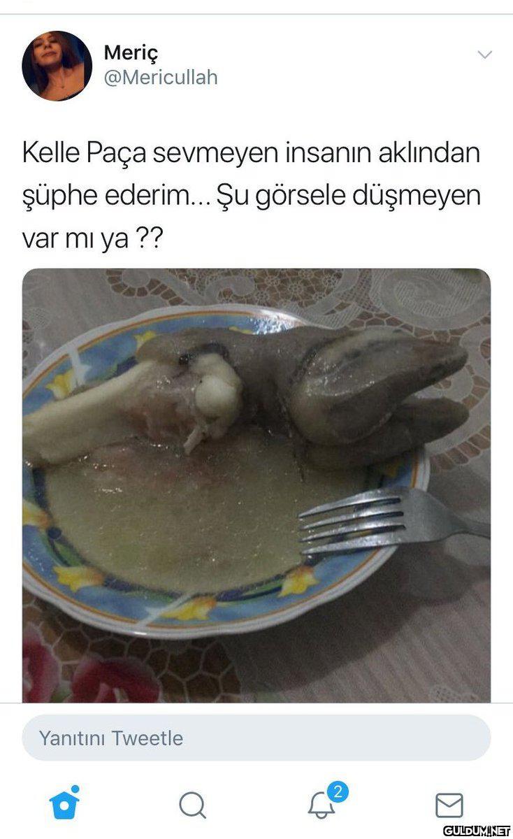 İkincisinde koyun fotonun...