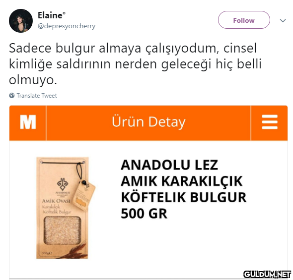 Elaine Follow...