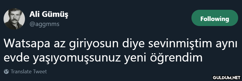 Ali Gümüş Following...