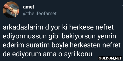 amet @thelifeofamet...
