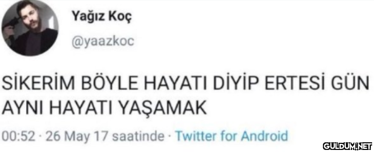 Yağız Koç @yaazkoc SİKERİM...