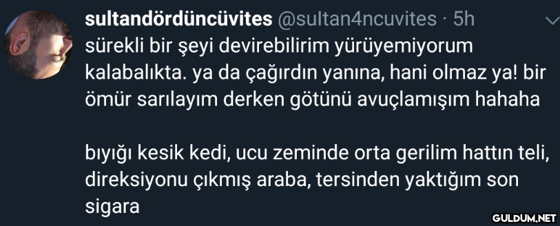 sultandördüncüvites...