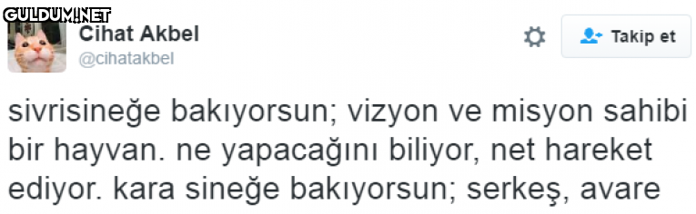 Cihat Akbel * Takip et...