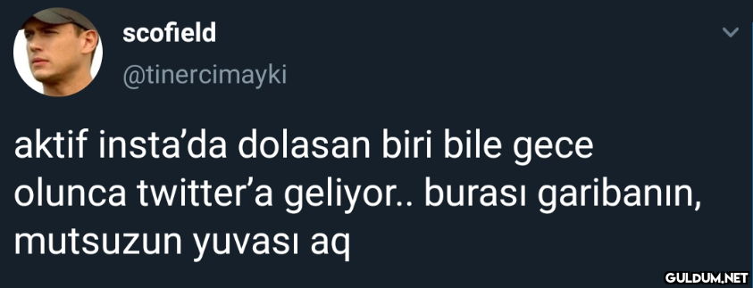 scofield @tinercimayki...