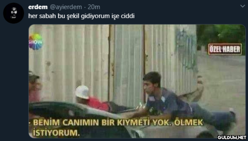 erdem @ayierdem · 20m her...