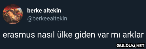 berke altekin...