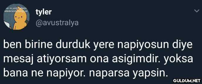 san ne yaratdamin witterda...