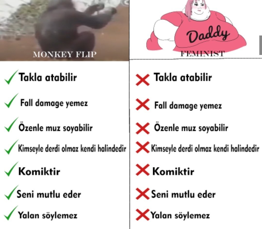 Daddy MΟNKEY FLIP FEMINIST...