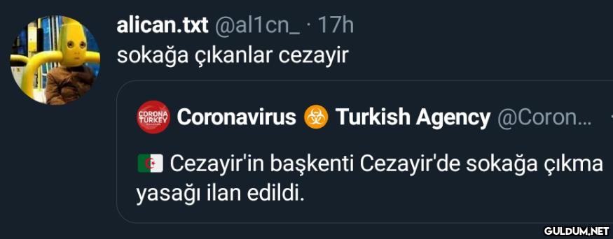 alican.txt @al1cn_ · 17h...