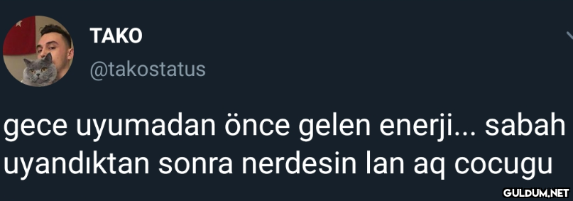 TAKO @takostatus gece...