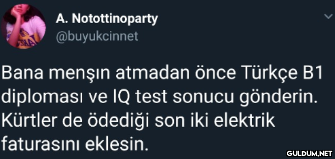 A. Notottinoparty...