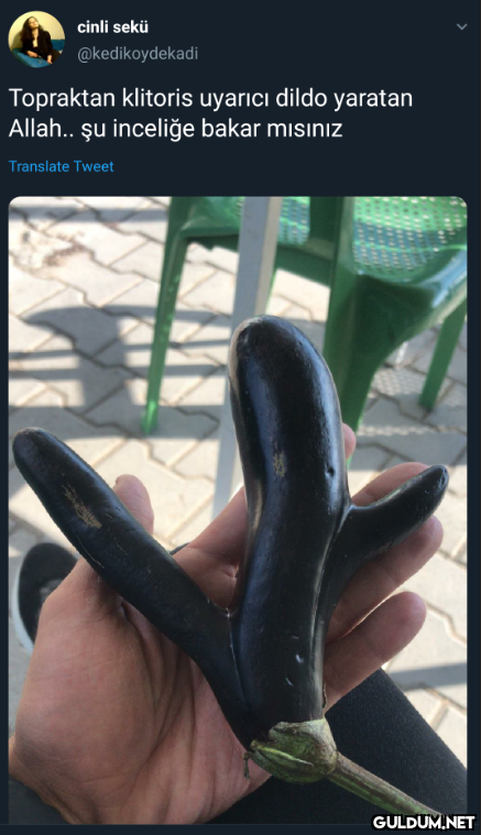 cinli sekü @kedikoydekadi...