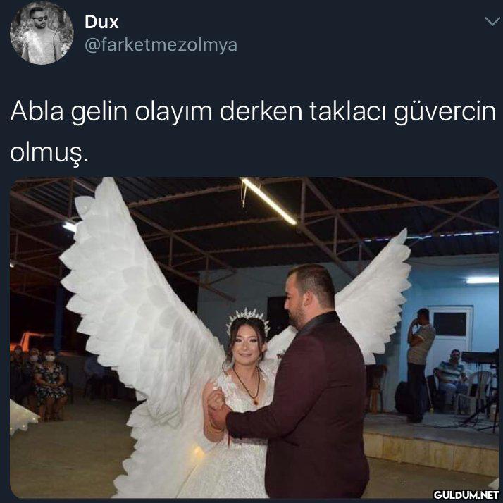 Harpy    Dux...